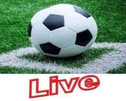 Nhà Cửa & Đời Sống 